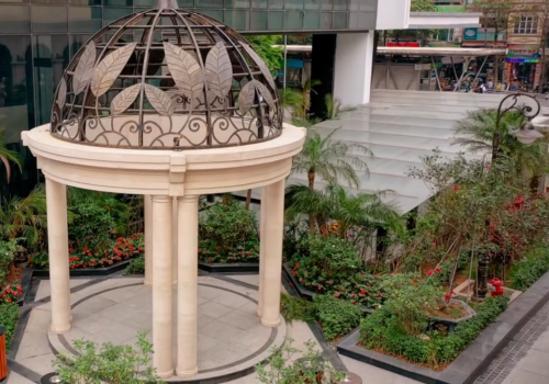 Video giới thiệu